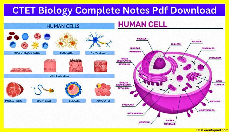 Ctet-Biology-Complete-Notes-Pdf-Download